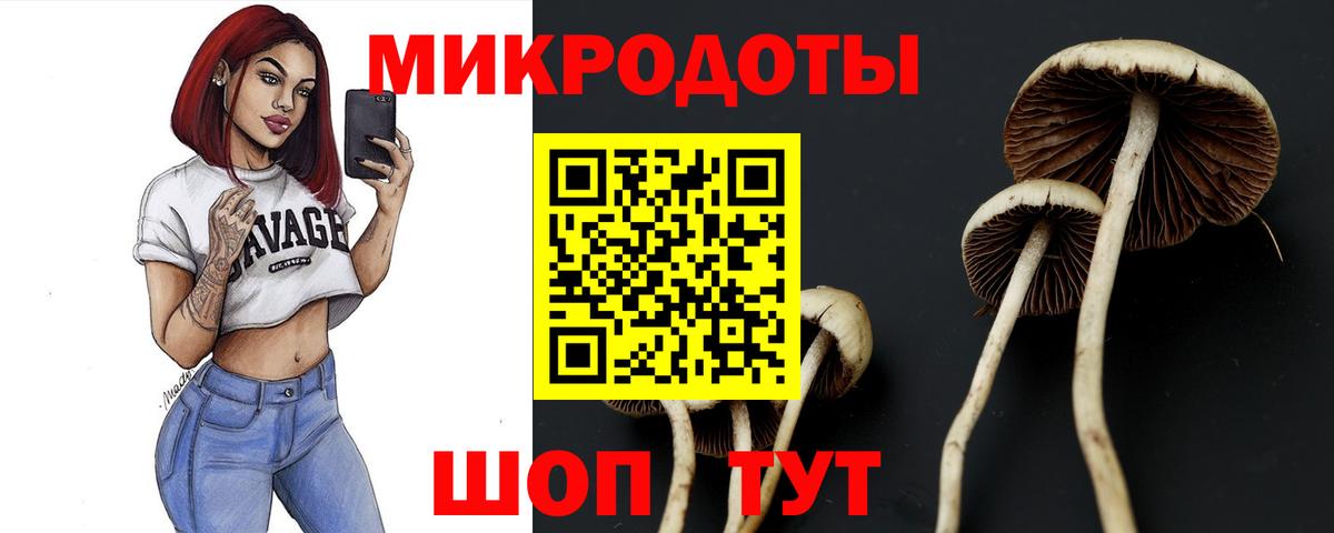 Галлюциногенные грибы Psilocybe Рославль